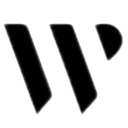 Wanglink_faviconlogo